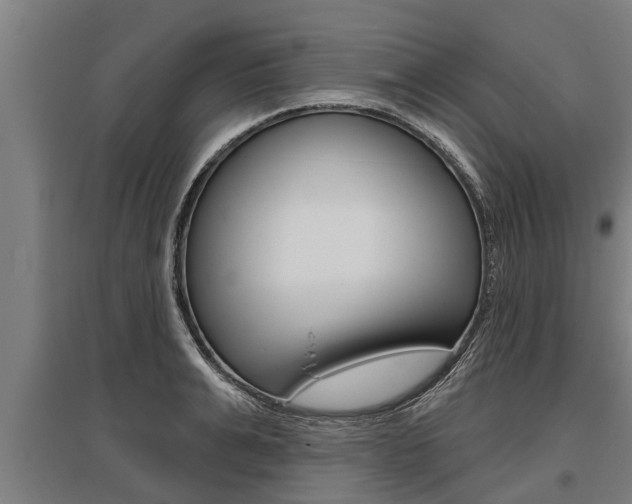 X0000096130991200801180825
