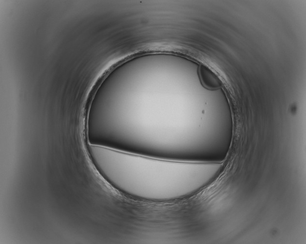 X0000096130992200801180825