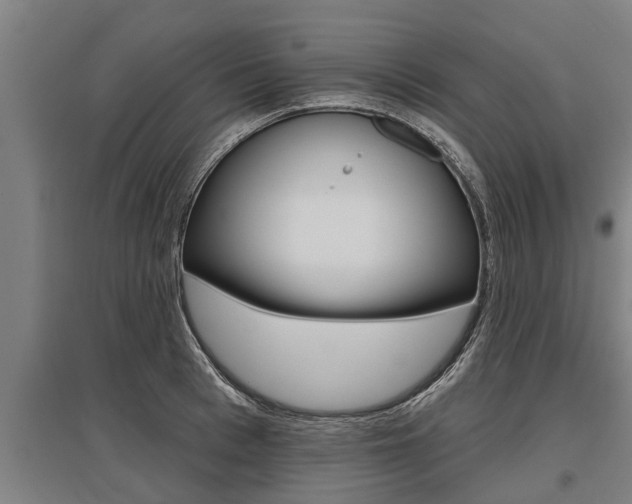 X0000096130993200801180825