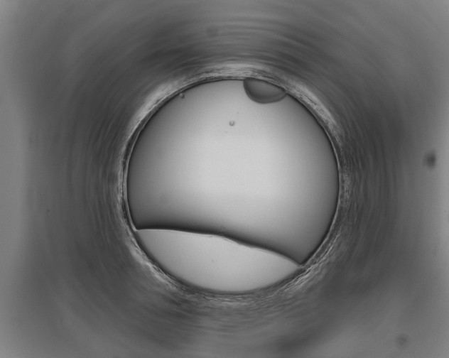 X0000096130994200801180825