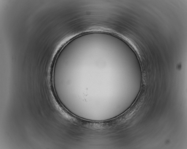 X0000096130995200801180825