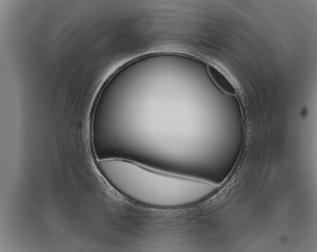 X0000096130996200801180825