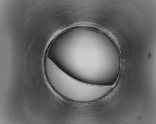 X0000096130997200801180825