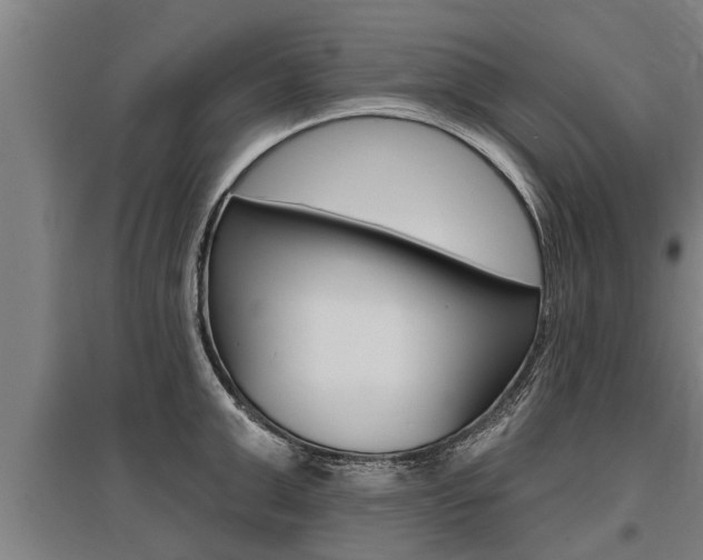 X0000096130999200801180825