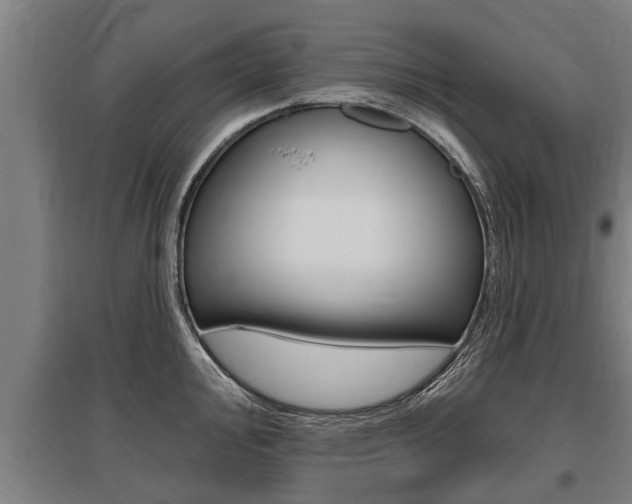 X0000096131000200801180825