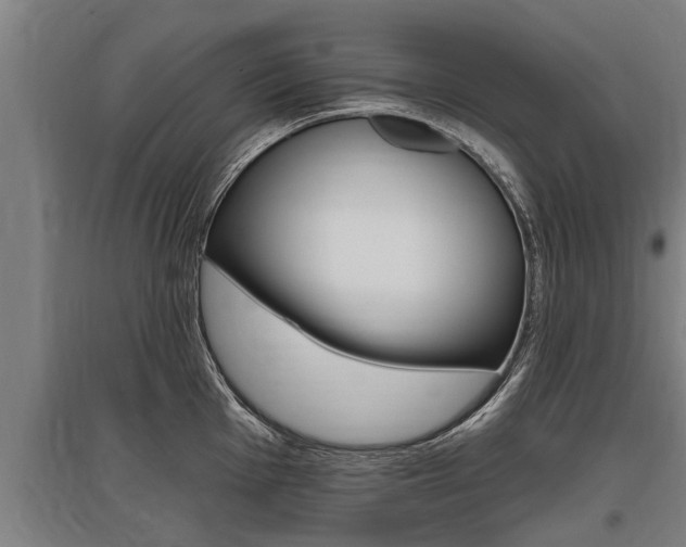 X0000096131001200801180825