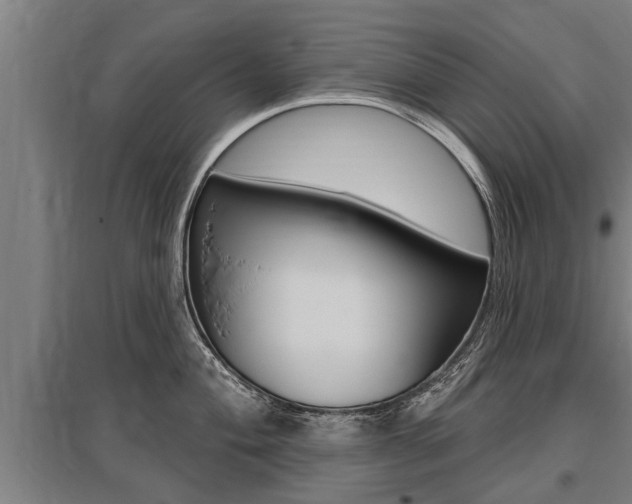 X0000096131004200801180825