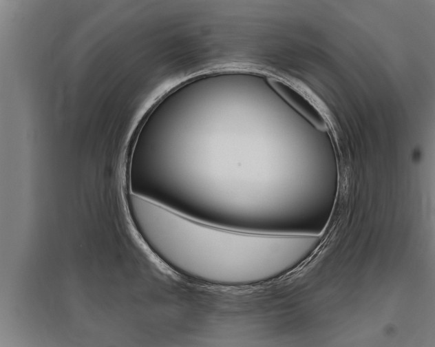 X0000096131005200801180825