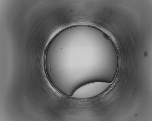 X0000096131006200801180825