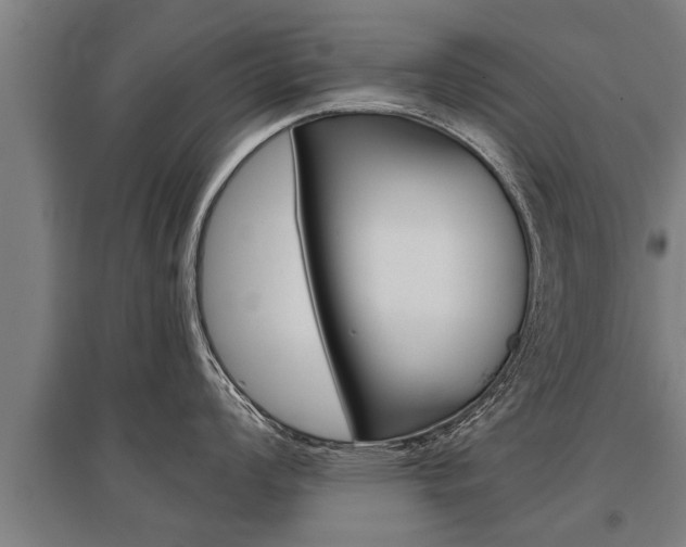 X0000096131008200801180825
