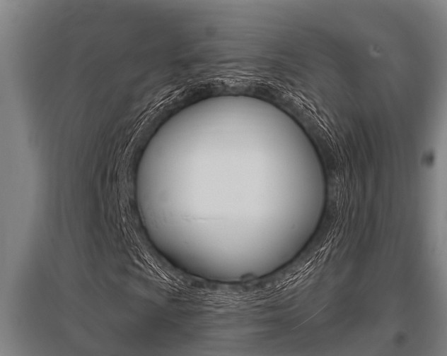 X0000096131009200801180824