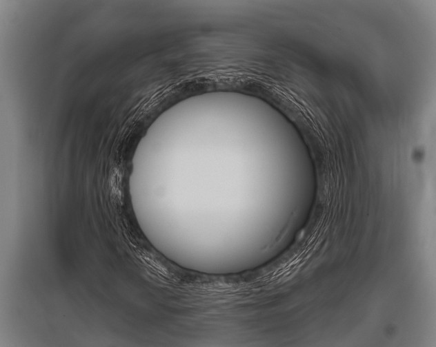 X0000096131010200801180824