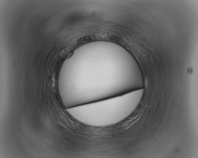 X0000096131011200801180824