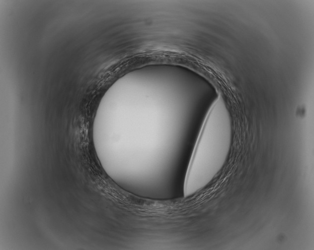 X0000096131013200801180824