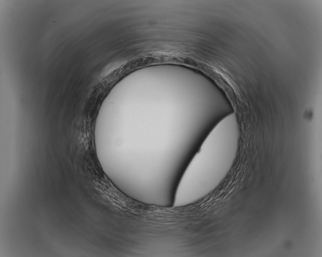 X0000096131015200801180824