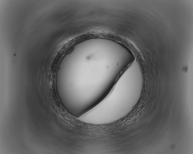X0000096131016200801180824