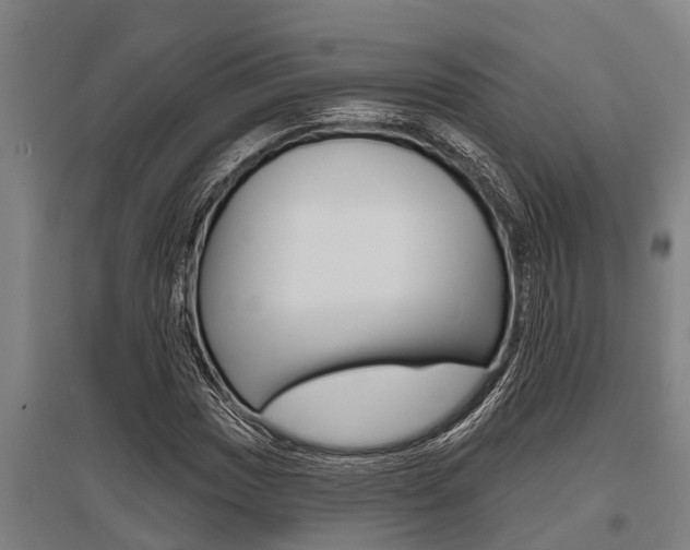 X0000096131017200801180824