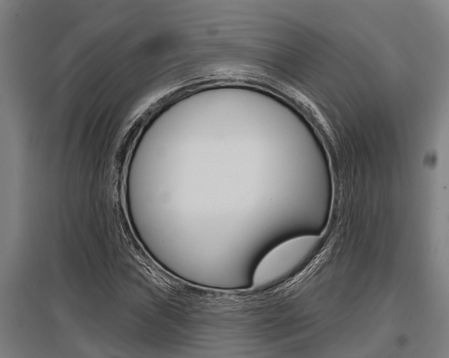 X0000096131019200801180824