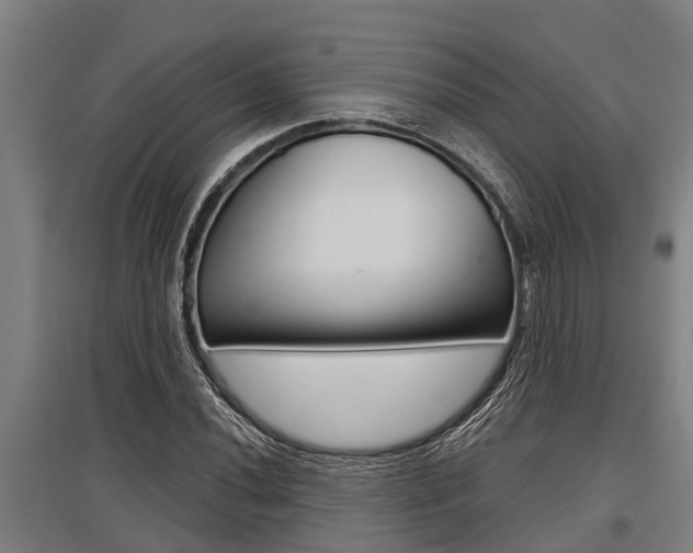 X0000096131020200801180824