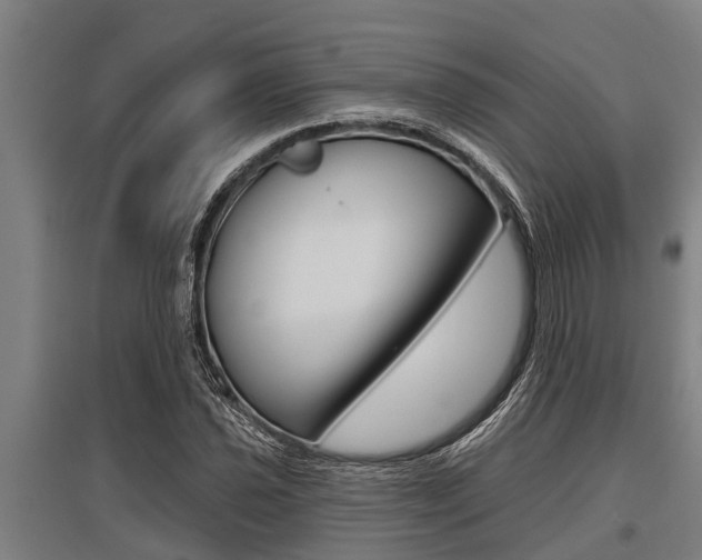 X0000096131021200801180824