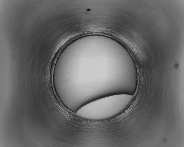 X0000096131023200801180825