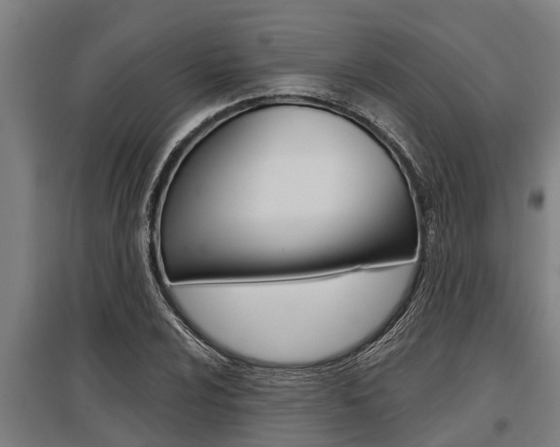 X0000096131024200801180825