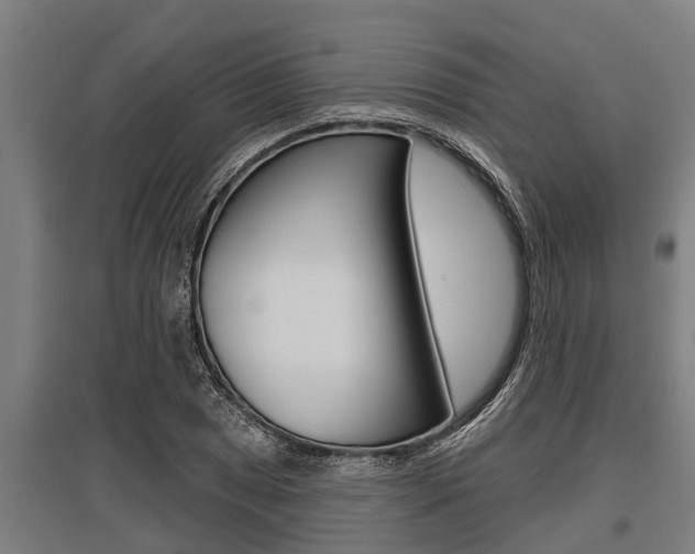 X0000096131025200801180825
