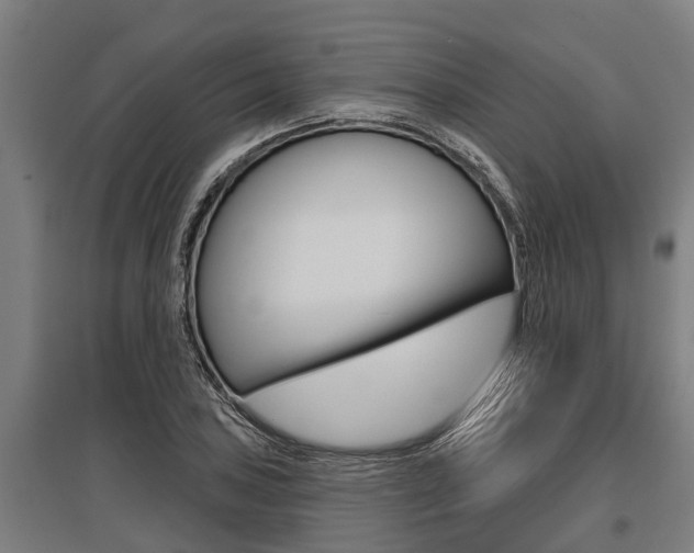 X0000096131027200801180825