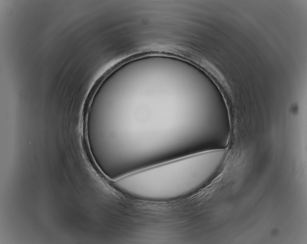 X0000096131028200801180825