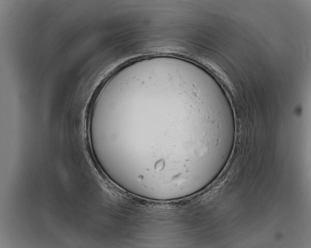 X0000096131031200801180825