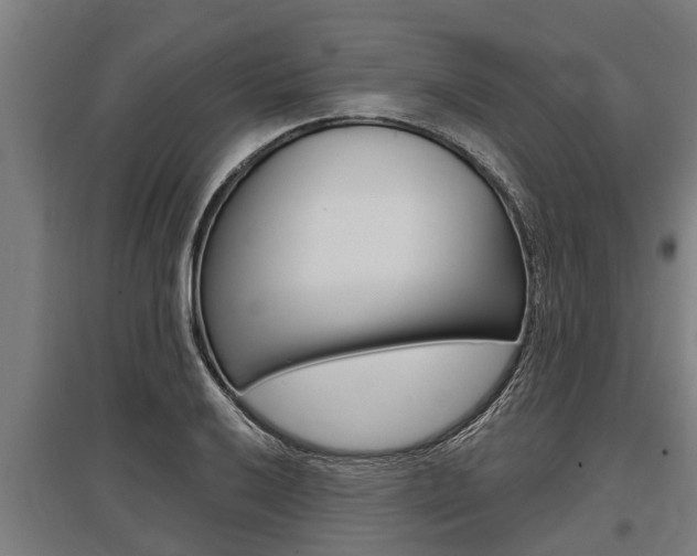 X0000096131032200801180825