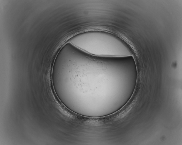 X0000096131033200801180825