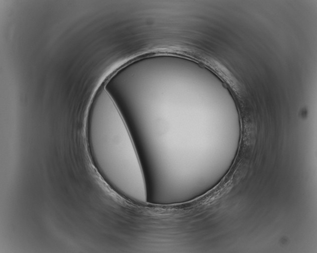 X0000096131036200801180825
