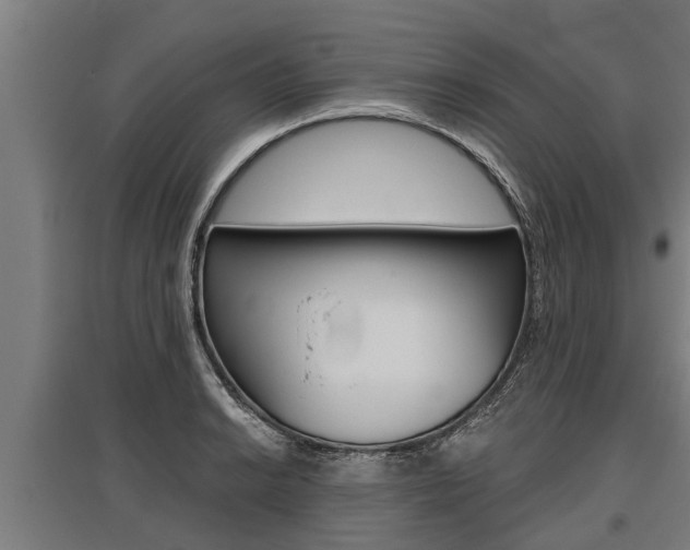 X0000096131038200801180825