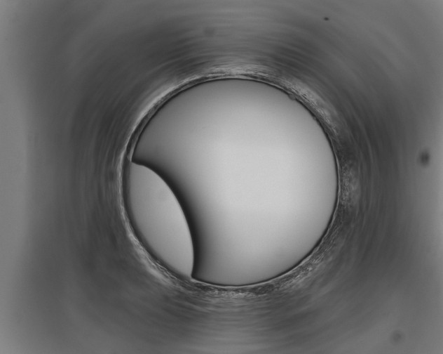 X0000096131039200801180825