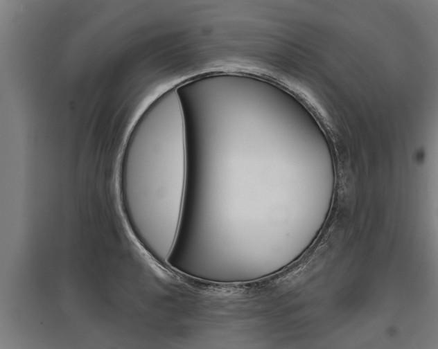 X0000096131040200801180825