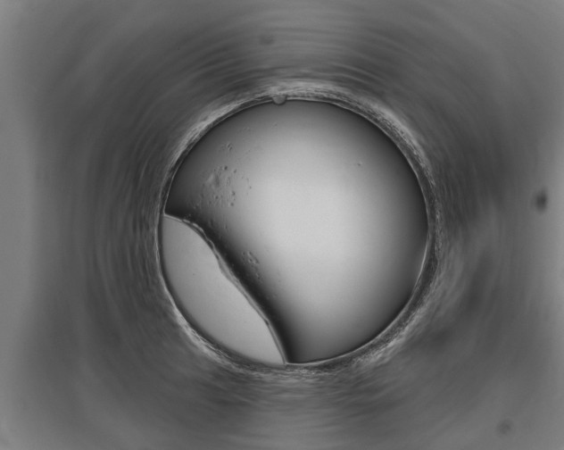 X0000096131041200801180825