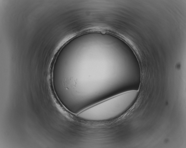 X0000096131042200801180825