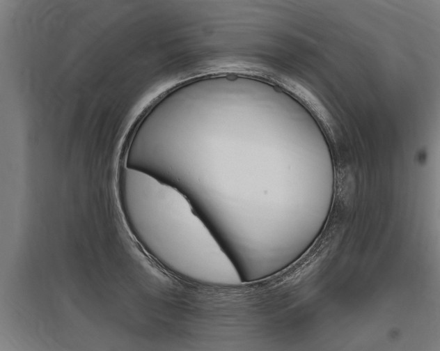 X0000096131043200801180825