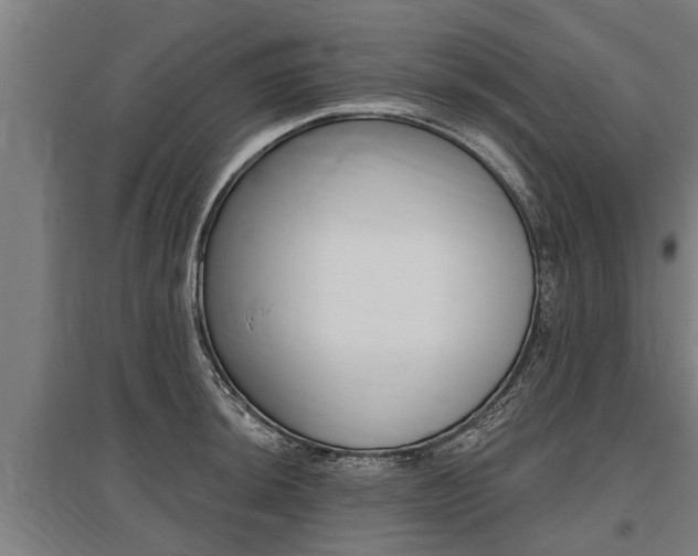 X0000096131044200801180825
