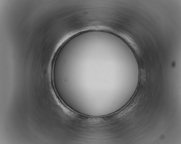 X0000096131046200801180825