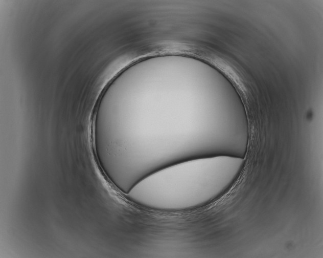 X0000096131047200801180825