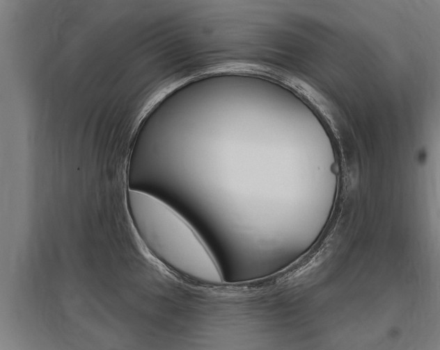 X0000096131049200801180825
