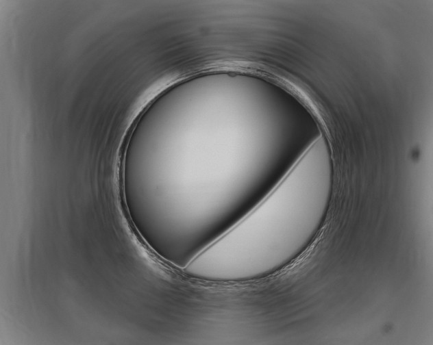 X0000096131050200801180825