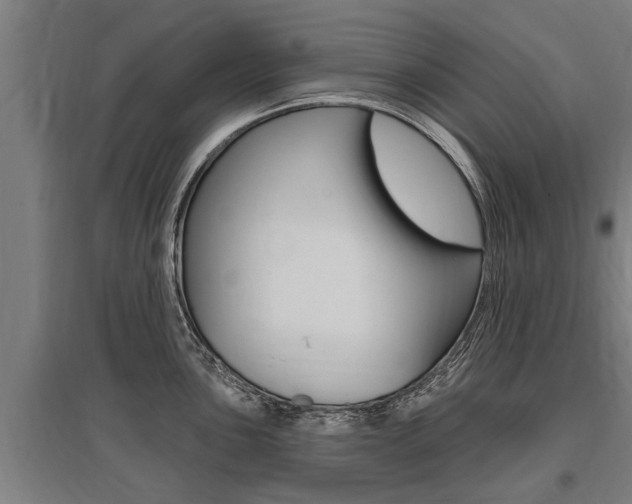 X0000096131051200801180825