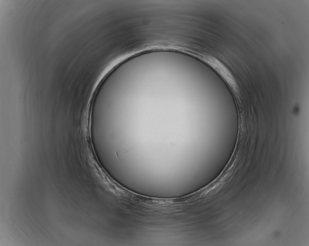 X0000096131052200801180825