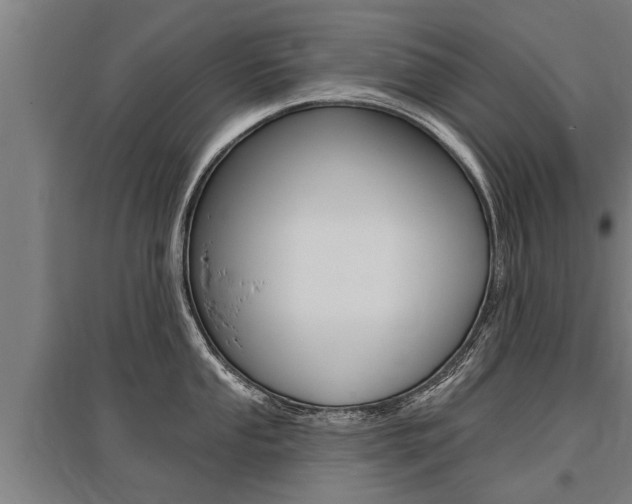 X0000096131053200801180825