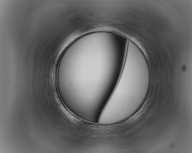 X0000096131054200801180825