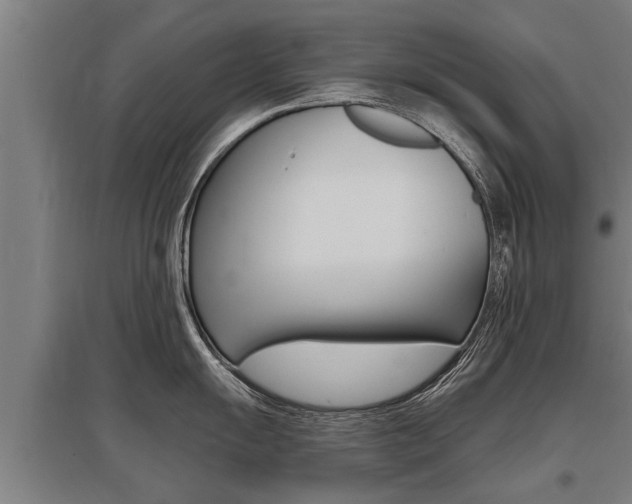 X0000096131055200801180825