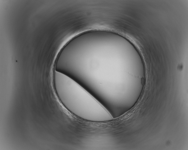 X0000096131056200801180825